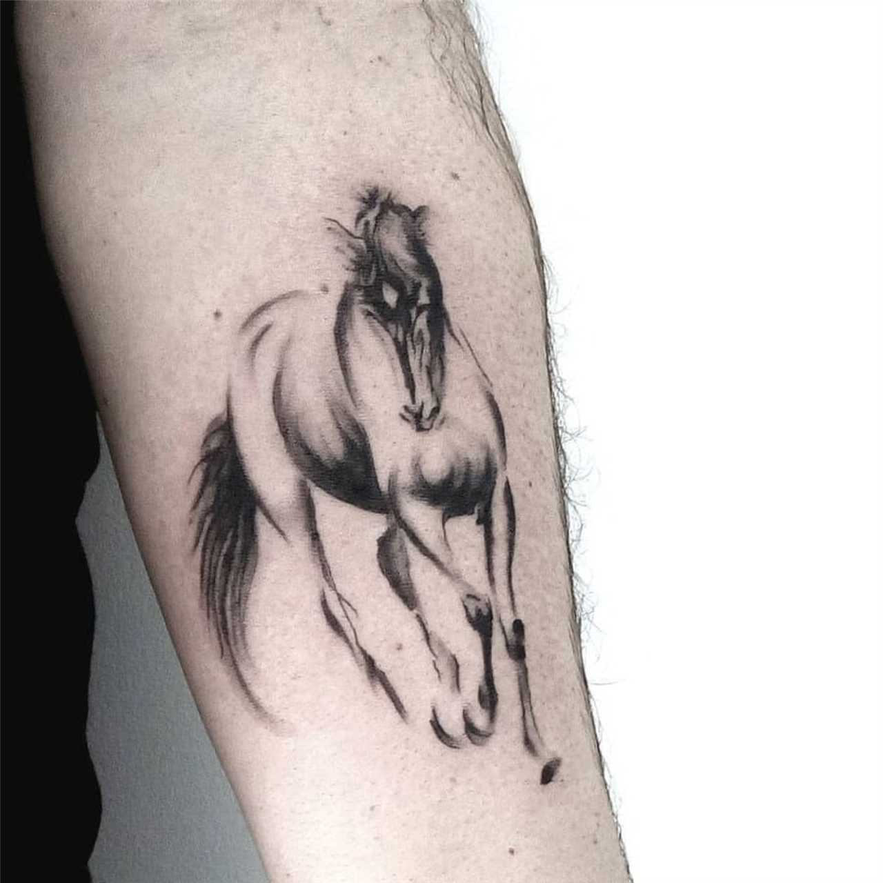Kingsman tattoo  art studio on Twitter Horse tattoo  httpstcoojxOb8Dlt1  Twitter