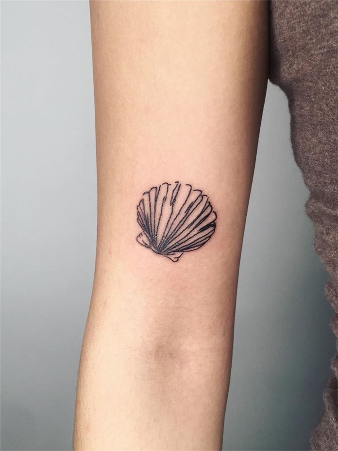 Pretty Seashell Tattoos